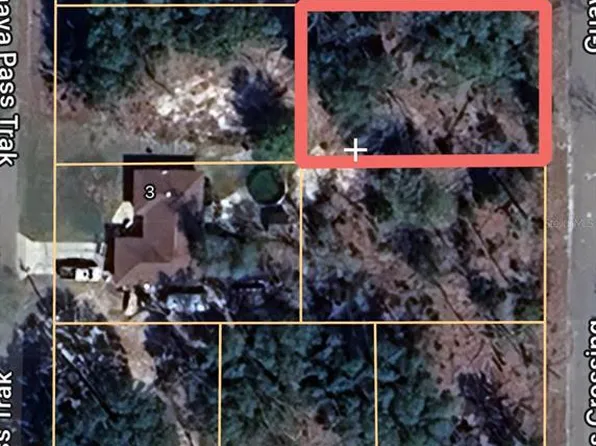 Guava Pass Ter Lot 5, Ocklawaha, FL 32179