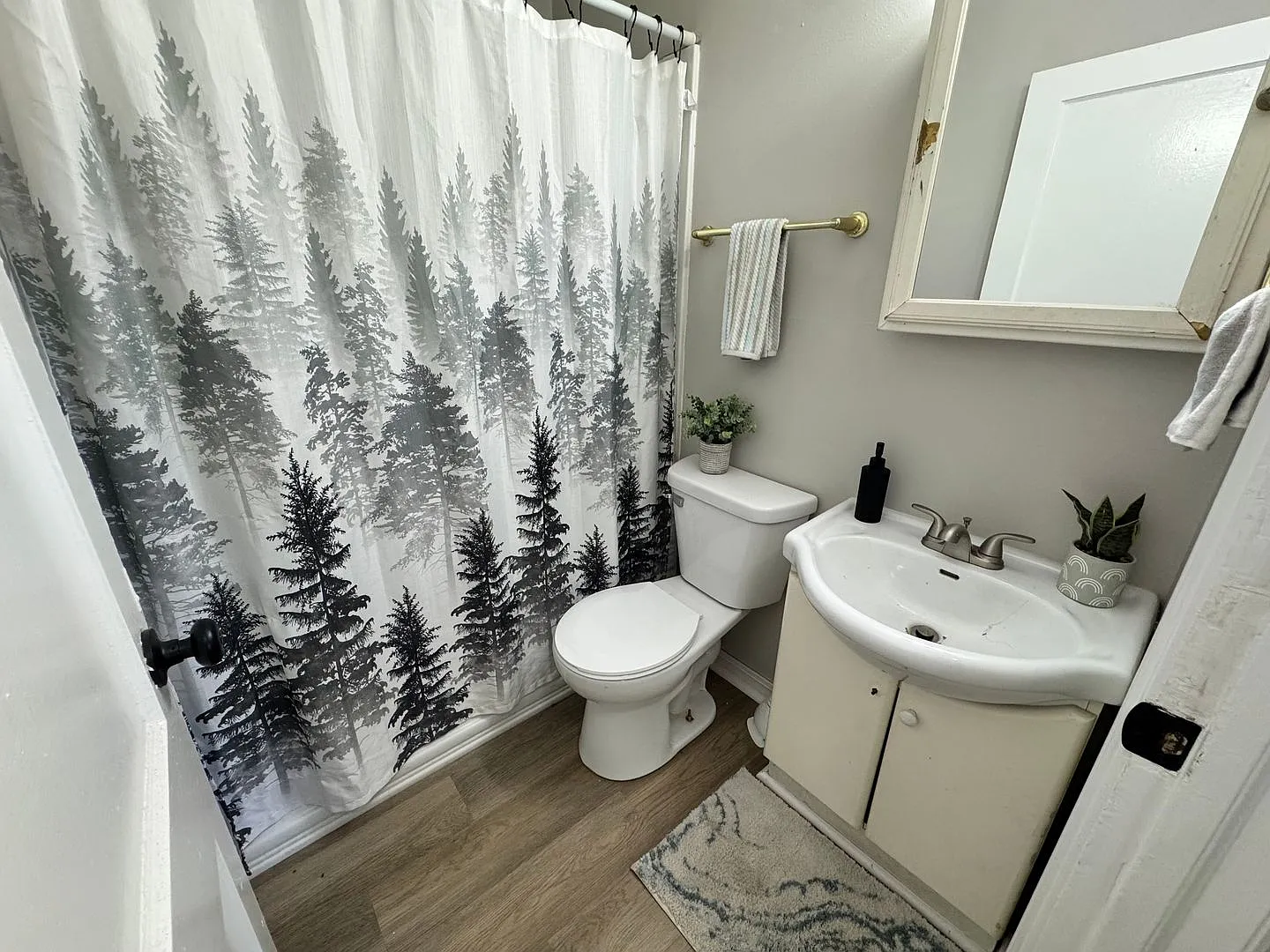 2 bed, 1 bath home for rent in Waterloo — Photo 4