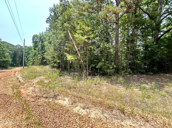 0 Baumann Rd, Hickory Flat, MS 38633