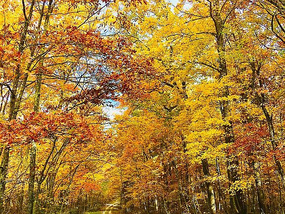 Private gravel road.