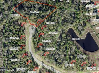 352 Landon Ln LOT 132, Sneads Ferry, NC 28460