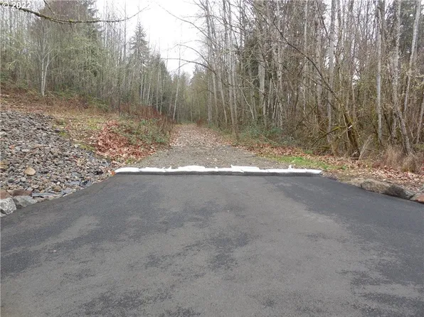 318 Martins Bluff Rd, Kalama, WA 98625