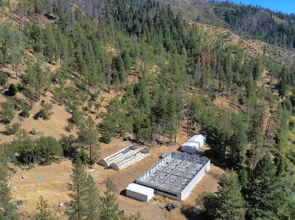 3990 Hyampom Rd, Hayfork, CA 96041