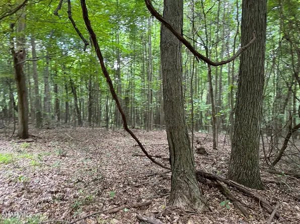 LOT 2A Louks Ln, Bedford, PA 15522
