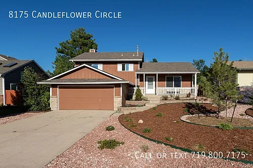 8175 Candleflower Cir Photo 1