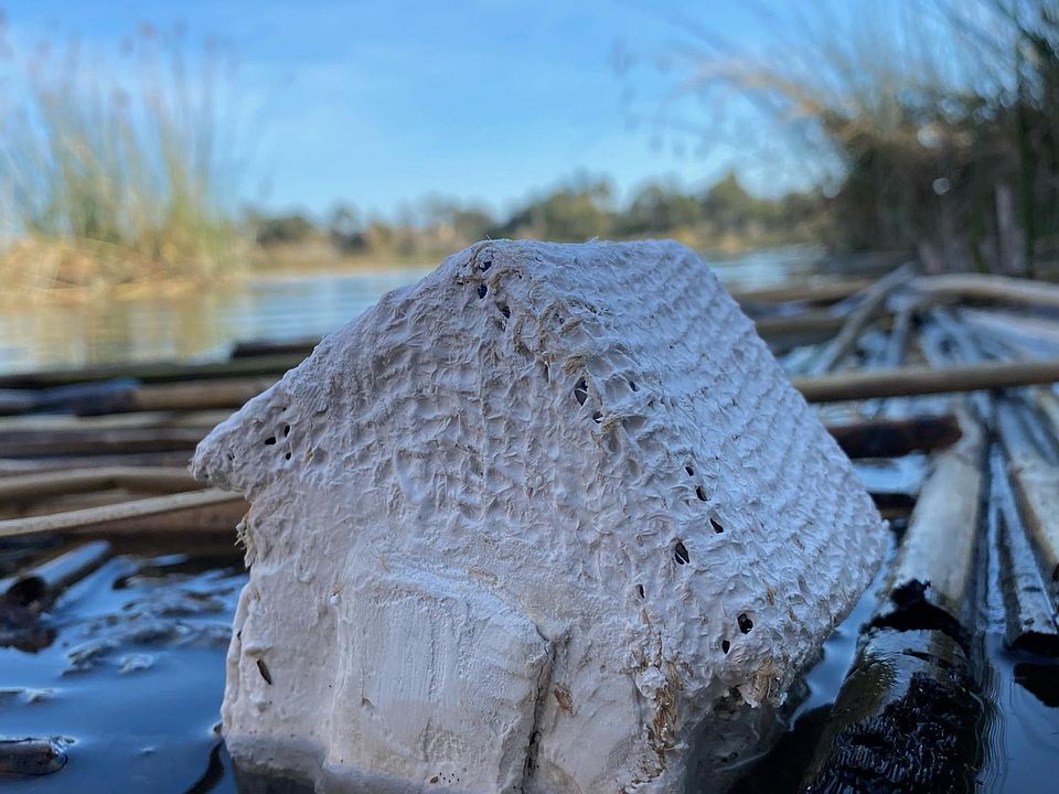 Stunning nature surrounds the house