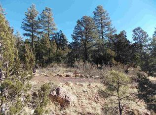 2845 Mustang Trl, Overgaard, AZ 85933