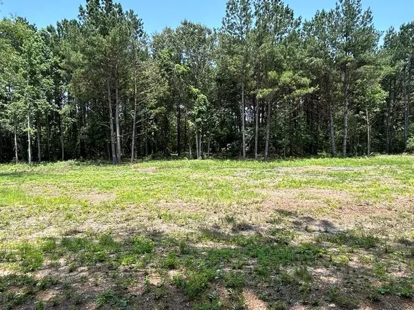 0 Pleasant Dr Lot 79, Coldspring, TX 77331