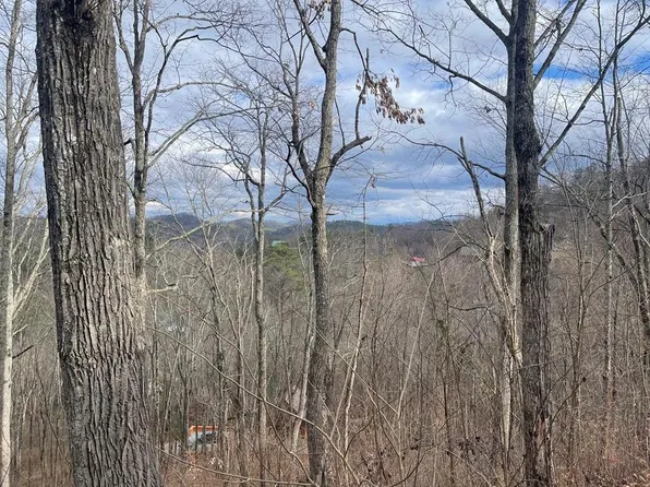 99 Dollys Dr #99, Sevierville, TN 37876