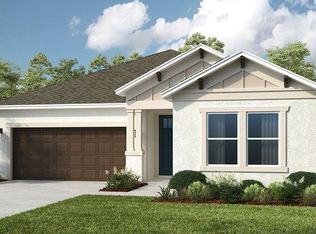 33284 Castaway Loop, Wesley Chapel, FL 33543