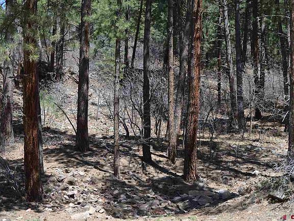 5th image of 286 Fawn Dr