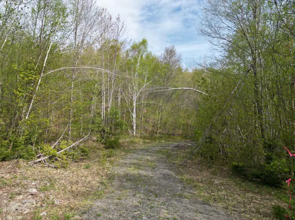 Lot 9 West Road, Springfield, ME 04487