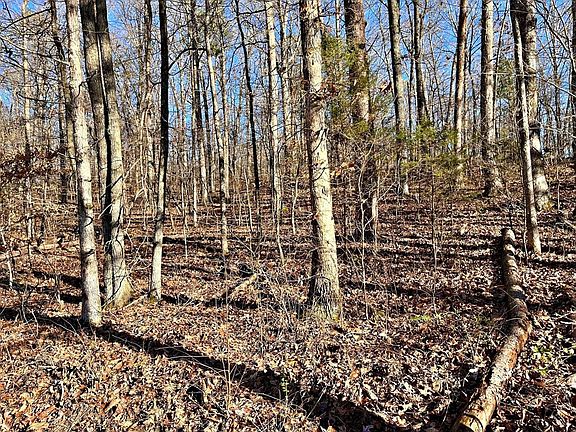3rd image of 0 County Road 138 Lot 2