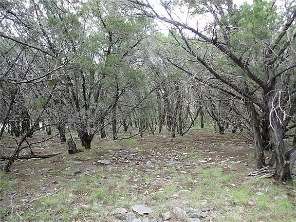 5th image of 1418 Hilltop Oaks