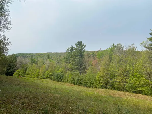 0 Winch Hill Road, Roxbury, VT 05669