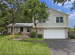 820 Indigo Ct, Lake Zurich, IL 60047