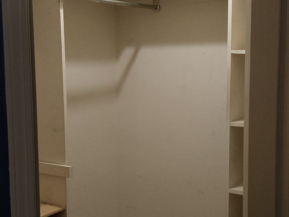 Walk-in closet in Master