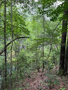 0 Lyndale Dr #3, West Columbia, SC, 29170