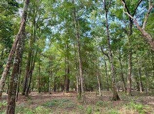 8424 Palmetto Rd, Edisto Island, SC 29438