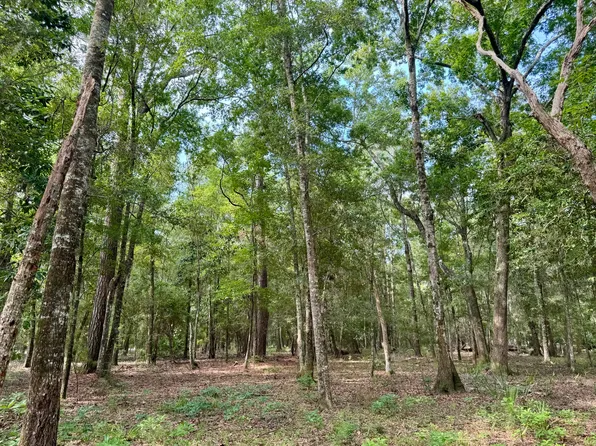 8424 Palmetto Rd, Edisto Island, SC 29438