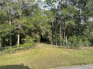 11277 S Turner Ave, Floral City, FL 34436