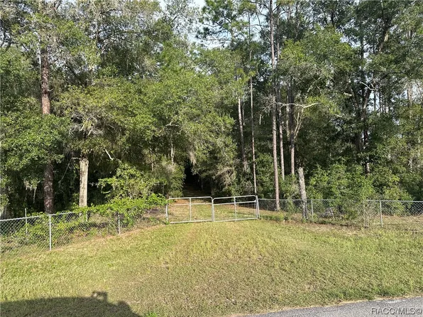 11277 S Turner Ave, Floral City, FL 34436