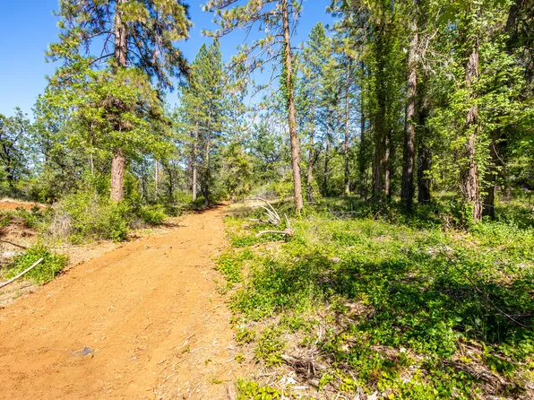 Vista La Vega Rd, Shingletown, CA 96088