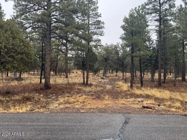 2625 Roundup Lane #246, Happy Jack, AZ 86024