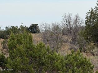 1037 Mira Rd #6, Heber, AZ 85928