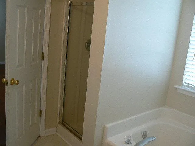 Master Walk-in Shower
