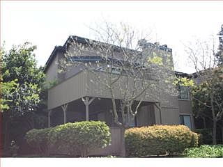 5th image of 171 Del Monte Ln
