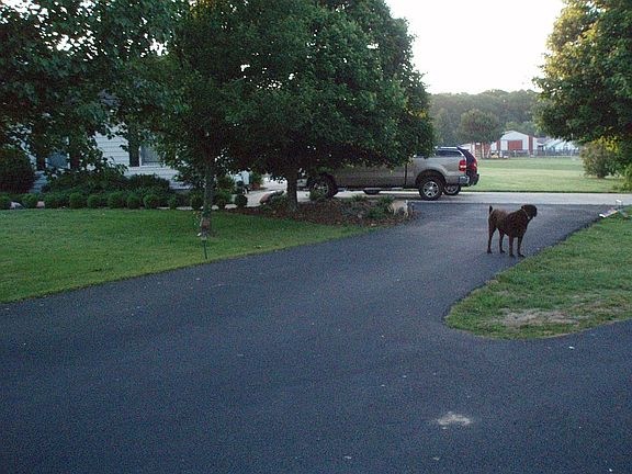 Driveway
