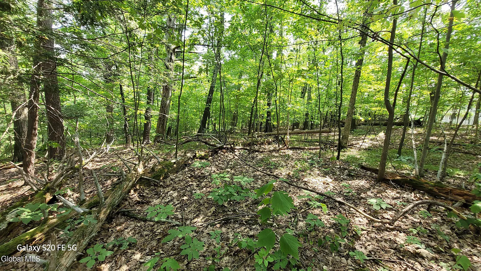 50 Finger Hill Road photo 1