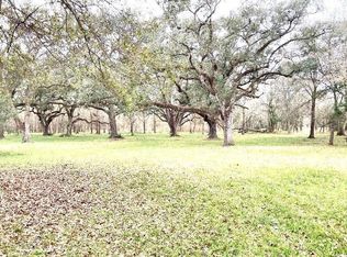 21303 Lake View Rd, Damon, TX 77430