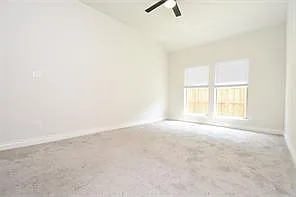 4525 Silver Pine Ct — Photo 22