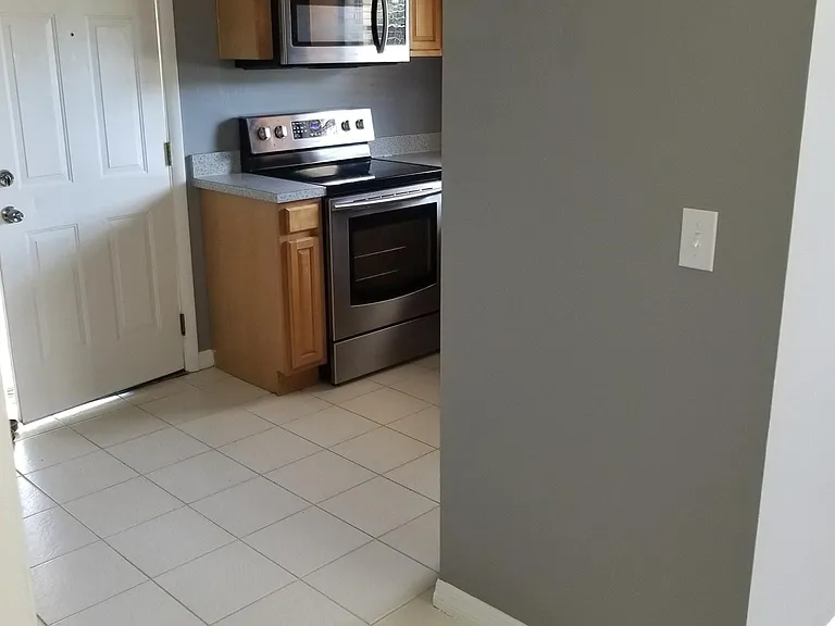 3209 W Lutz Lake Fern Rd — Photo 8