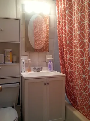 Rented by High Line NYC Realty Group | media 17