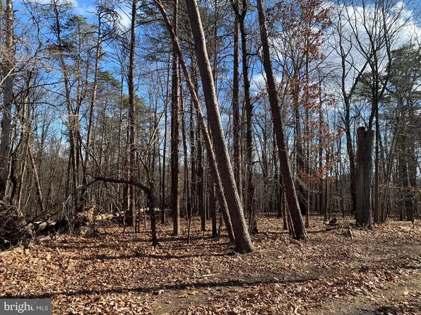 Trillium Lane Lot 6, Cross Junction, VA 22625