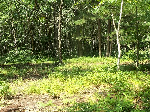 4th image of LOT 7 Birch Tree Trl