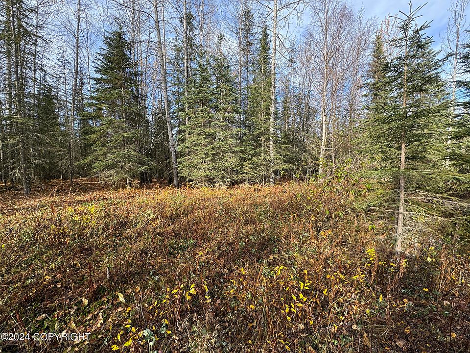 2nd image of 40AC N Strawberry Rd