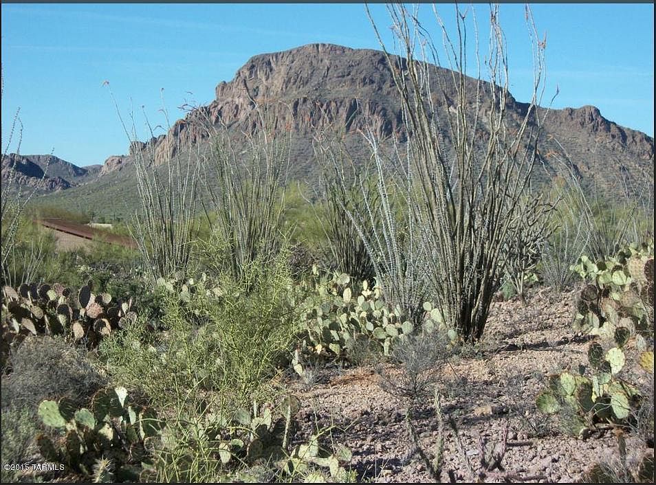 1st image of 5131 S Camino De Oeste