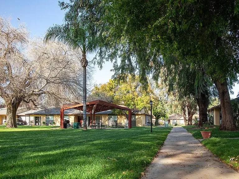Country Village Senior Apartments - 55+ — Photo 6