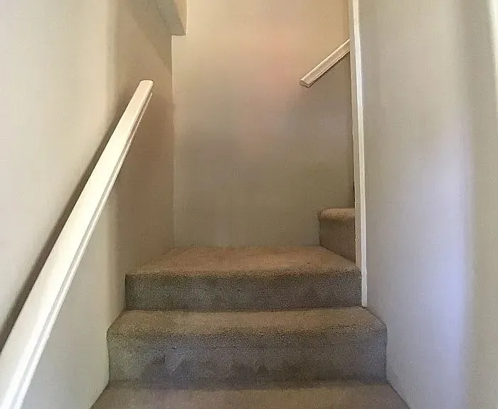 jpg