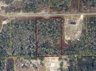 166th Pl, Wellborn, FL 32094