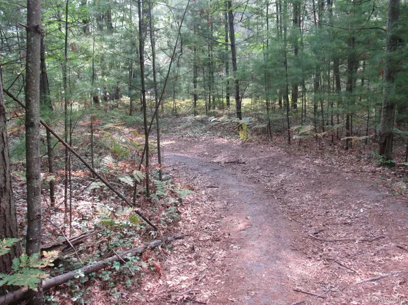 7 & Lot 8, Roscommon, MI 48653
