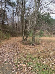 4390 Vale McKenzie Rd, Bruceton, TN, 38317