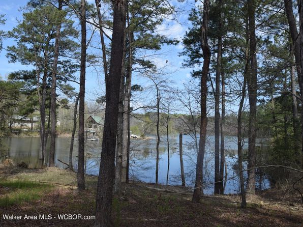 Lot On Smith Lake Arley Real Estate 32 Homes For Sale Zillow