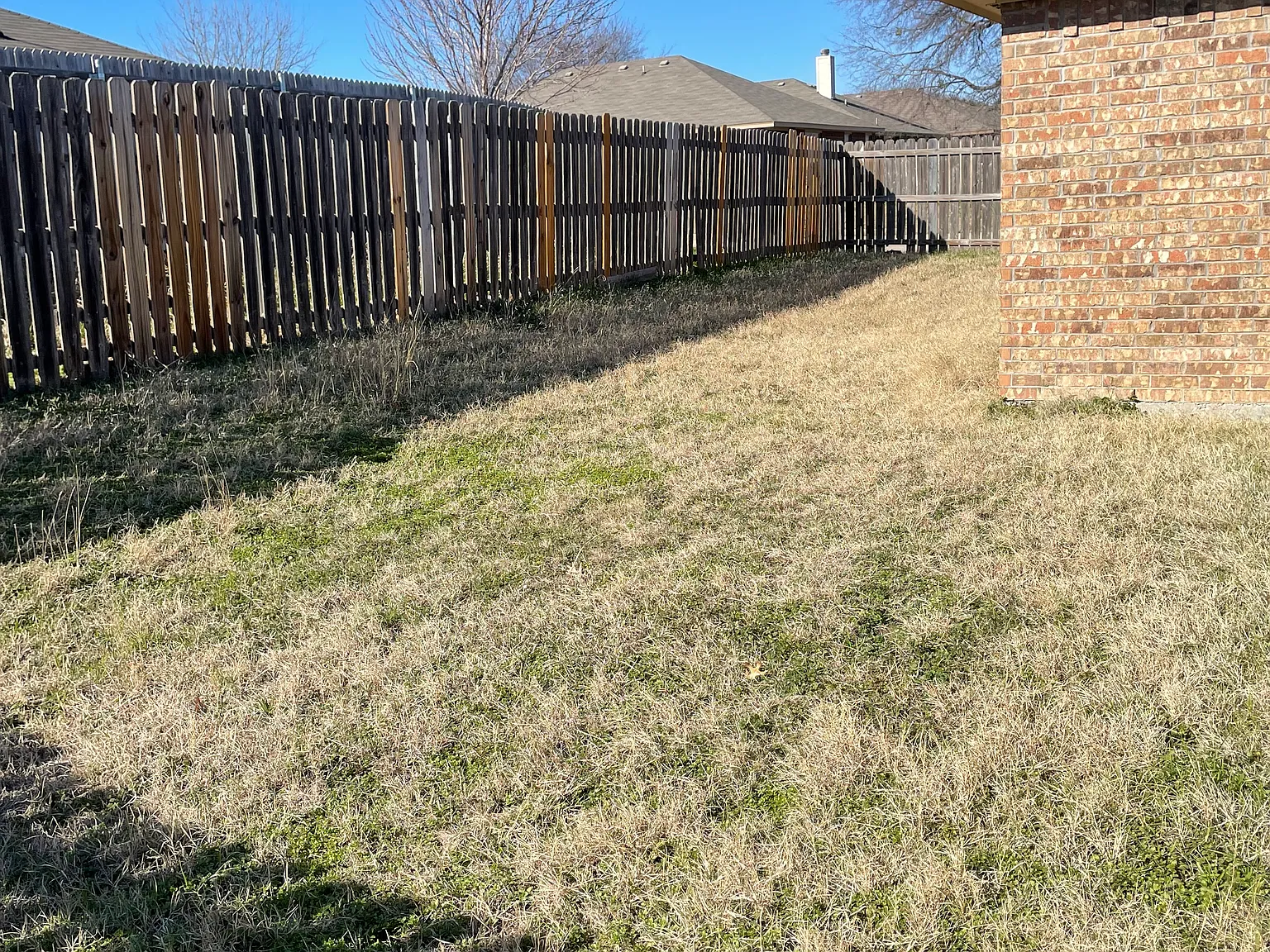 2 bed, 980 sqft, $1,399 — Photo 3