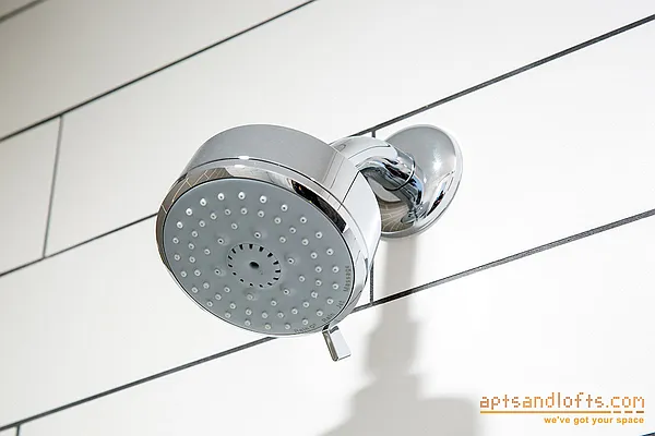 Rented by aptsandlofts.com | media 16