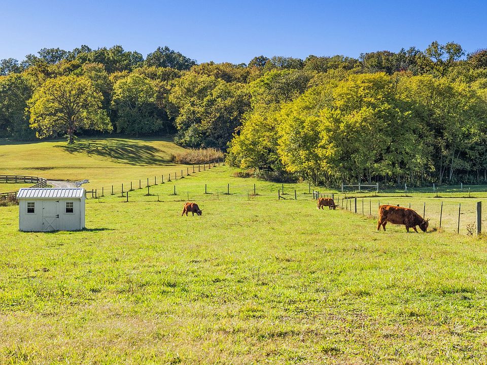 100th image of this home